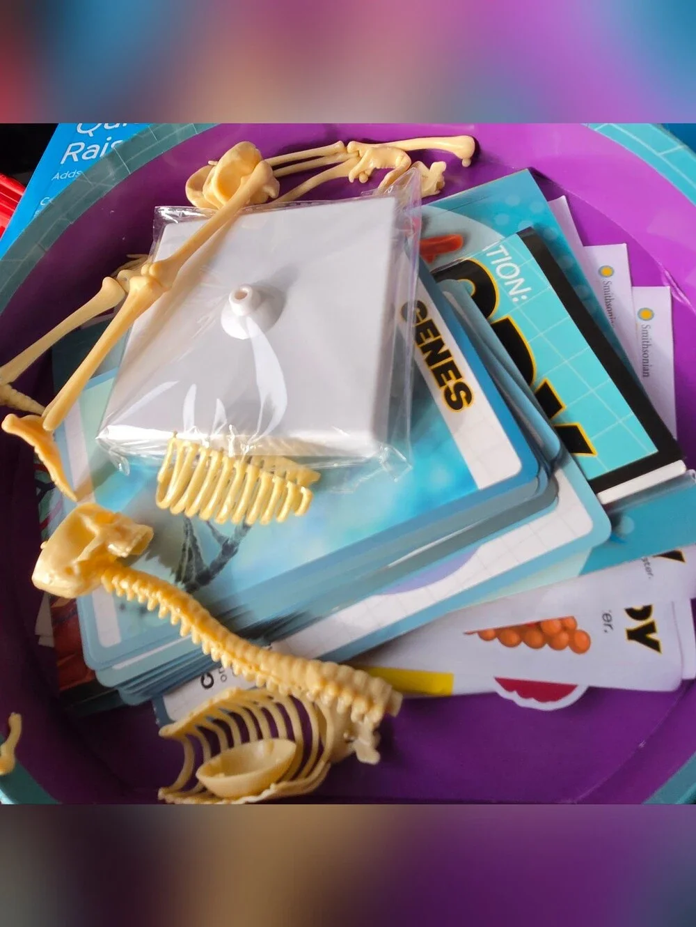 NEW Smithsonian Exploration Station: Human Body Science Kit